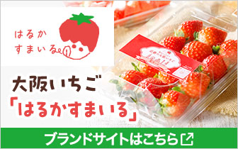大阪いちご「はるかすまいる」