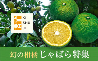 ���̊��k ����΂���W