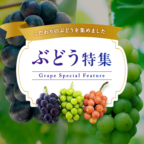 ぶどう特集