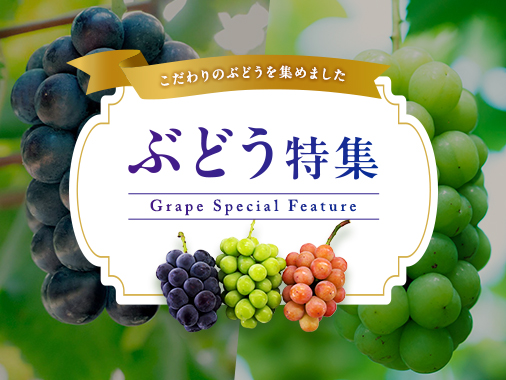 ぶどう特集