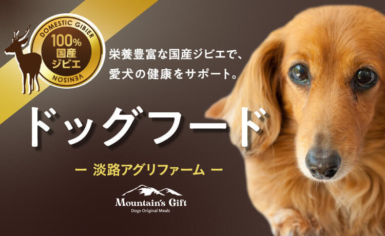 犬用・愛情ごはん 皮膚の健康サポート1kg×4袋 - ペットフード