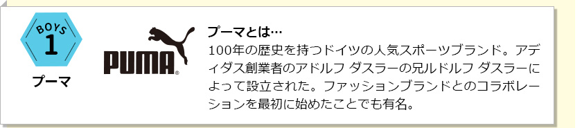 プーマとは