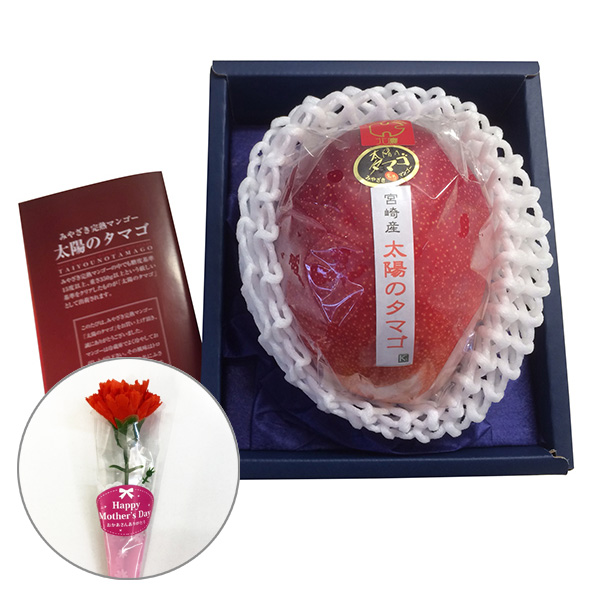 �� ��̓� �q�k�c�r�{�茧�Y���n�}���S�[���z�̃^�}�S���J�[�l�[�V����