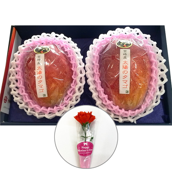 �� ��̓� �q�k�c�r�{�茧�Y���n�}���S�[���z�̃^�}�S���J�[�l�[�V����