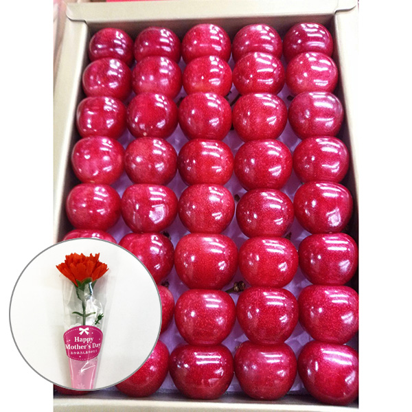 �� ��̓� �q�k�c�r���쌧�Y�������ځ��J�[�l�[�V����