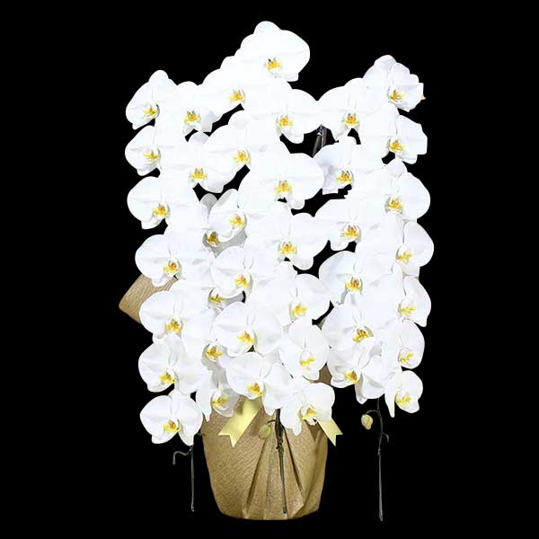 Ӓ@ց@3{ā@M@(bsOFԌnj@