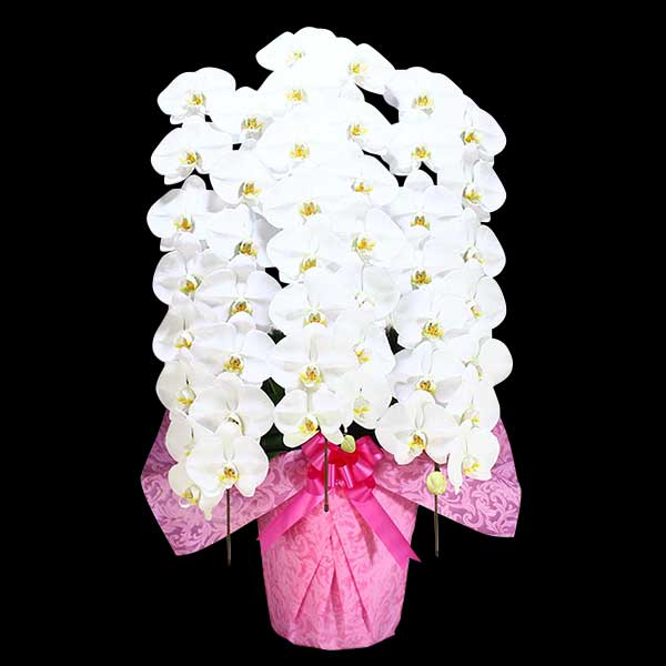 Ӓ@ց@3{ā@L@(bsOFsNnj@