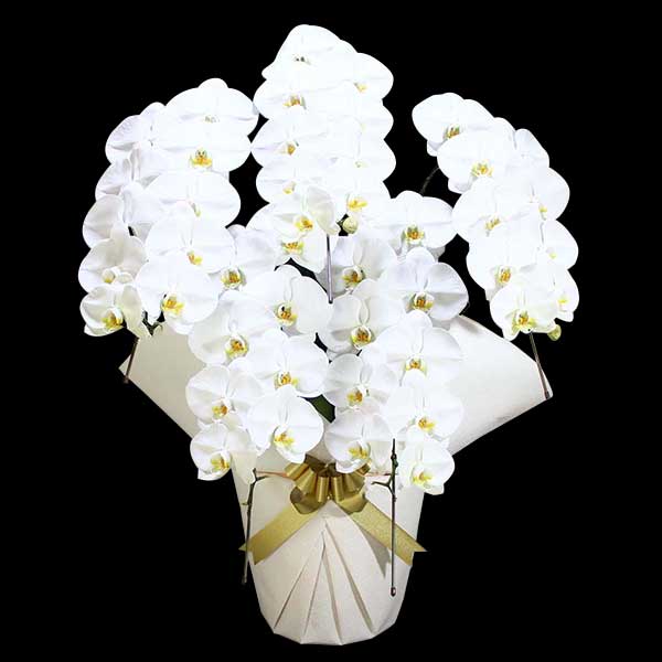 Ӓ@ց@5{ā@S@@(bsOFsNnj@