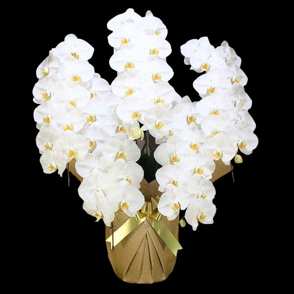 Ӓ@ց@5{ā@M@(bsOFsNnj@