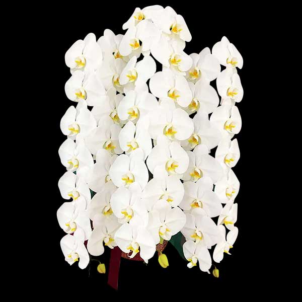 v~AӒ@ց@3{ā@M@(bsOFԌnj@