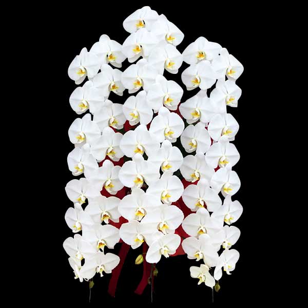 v~AӒ@ց@3{ā@L@(bsOFsNnj@