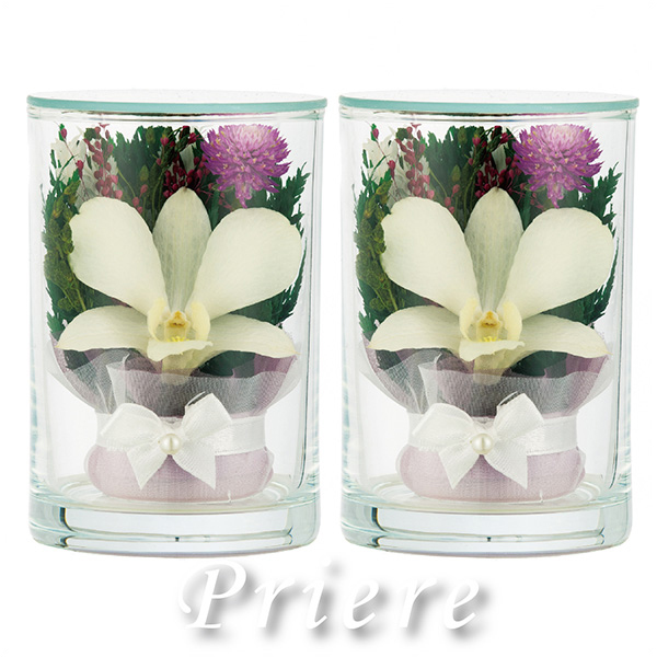 q񓰁rvG[QSA 1΁i2{j