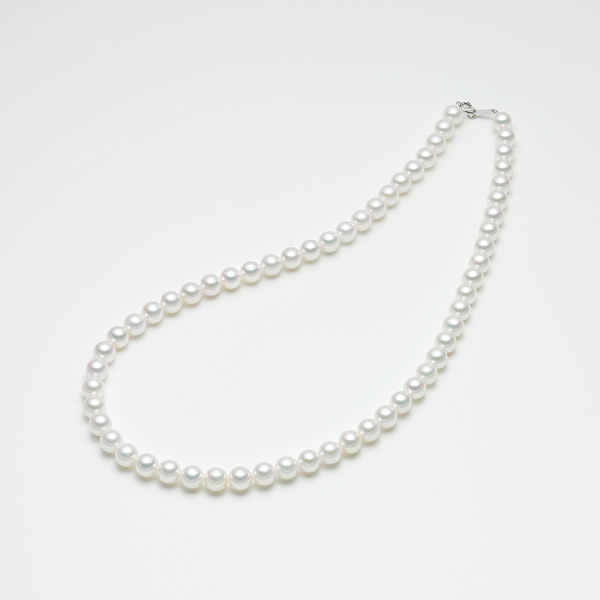 qŊ㍁rARp[lbNX(6.5-7.0mm)