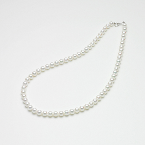 qŊ㍁rARp[lbNX(6.0-6.5mm)