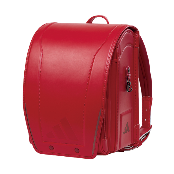 q2026 ߓS̃hZrAfB_X X|[c@bh@y z