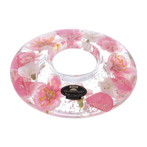 ��̓��q�h���[�����C�g�r�L�����h���z���_�[�@UFO�~�j�@���d�̍�