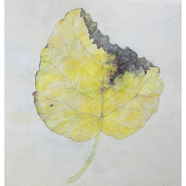 井手本貴子 「変化」