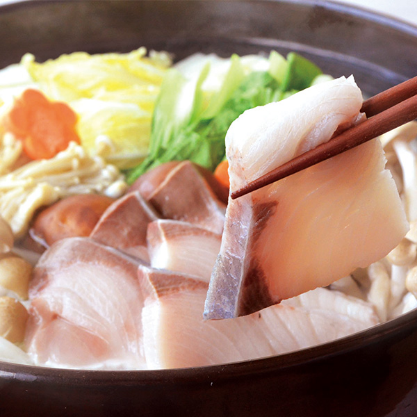 y1231͂zy550zqTrԂ肵ԃZbg Q`RlOyE①z