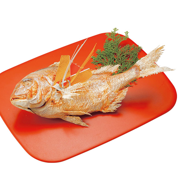 y1231͂zy572zqy xyrj