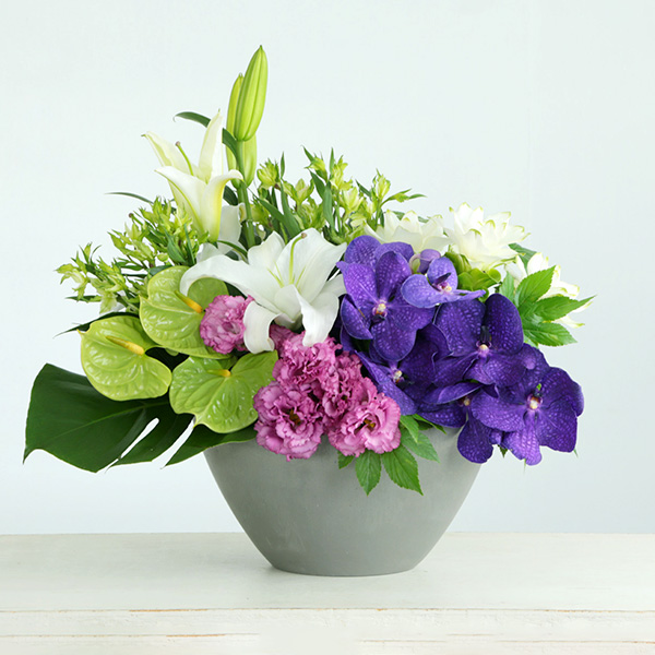 qBLANC hanna/unir̉ԁu炬v