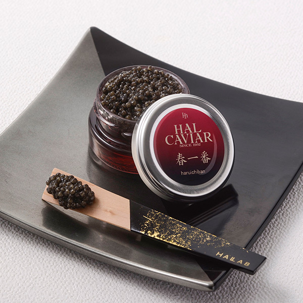 古家野雄紀 「○△□」｜近鉄百貨店ネットショップ