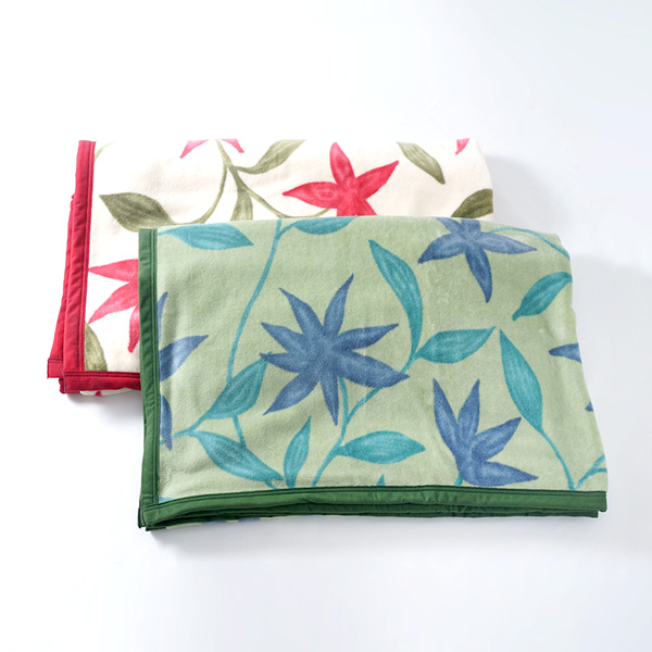 qÃR[|[Vr2026N܁@Vr@Ȗѕz(щH)2Zbg