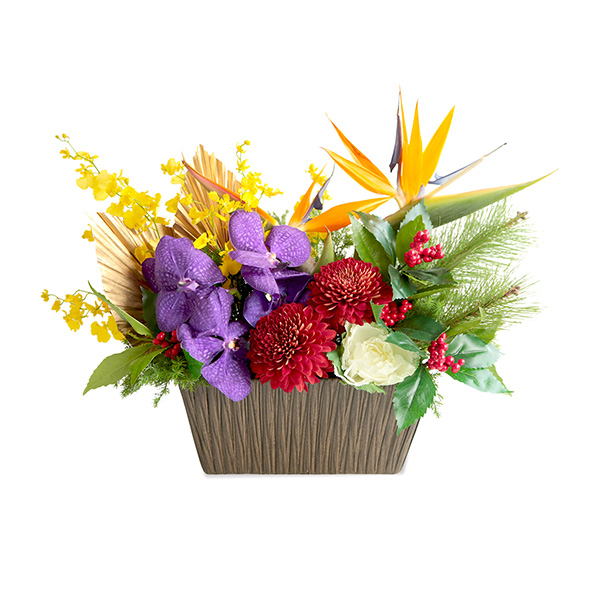 Ε遜qBLANC hanna/unirԃAWgugˁv