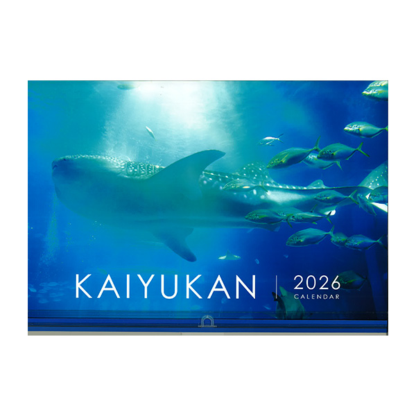 qCVفr2026NCVكIWiJ_[