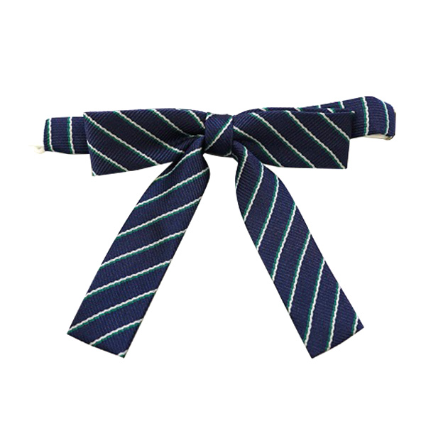 �l���s�X�戵�����i�q�ŏ��w�Z�����r���q���{���i�j