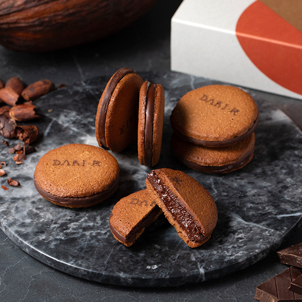 156�qdari K / �_���P�[�r�J�J�I�T���h�N�b�L�[6����(�_�[�N) A1002006