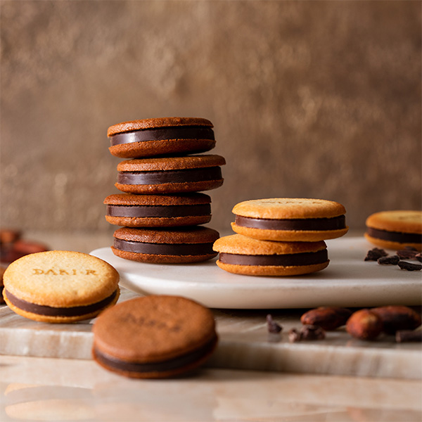 159�qdari K / �_���P�[�r�J�J�I�T���h�N�b�L�[12����(�_�[�N�E�~���N) A1002008