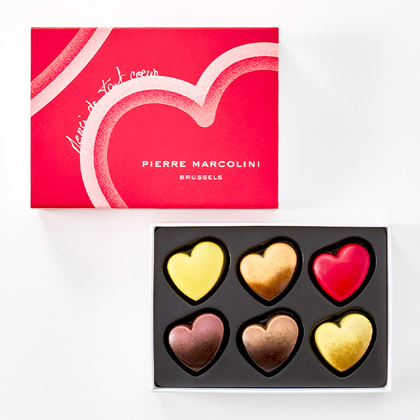 180���qPIERRE MARCOLINI / �s�G�[�� �}���R���[�j�r�R�t�� �h�D �R�R�� 6����