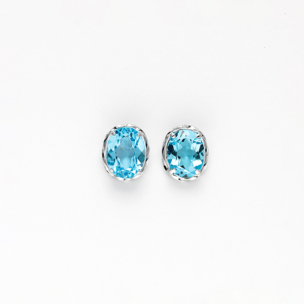 �q�Ŋ㍁�rPt�u���[�g�p�[�Y�s�A�X