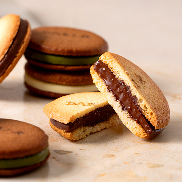 ���qdari K�r�J�J�I�T���h�N�b�L�[6����(�~���N�E�z���C�g�E����)