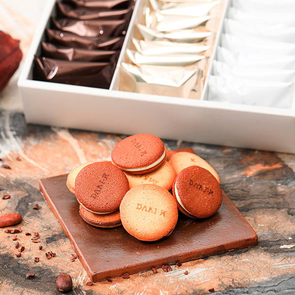 ���qdari K�r�J�J�I�T���h�N�b�L�[24����