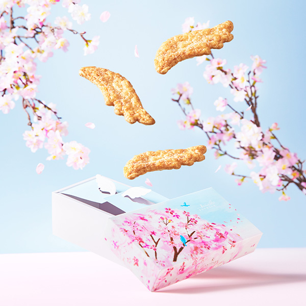 �q�A���e�m�[���r�v�e�B�E�{�k�[��