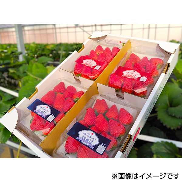 ���q�͂邩���܂���r��ア���� �H�ה�ׁ@250g×4�p�b�N