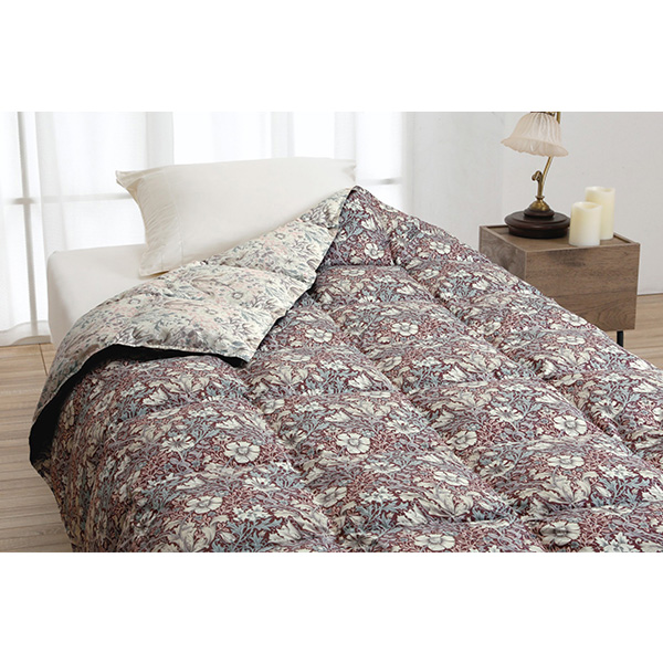 �q���}���X�����r�E�B���A�������X �H�э��|�ӂƂ�/�G���W