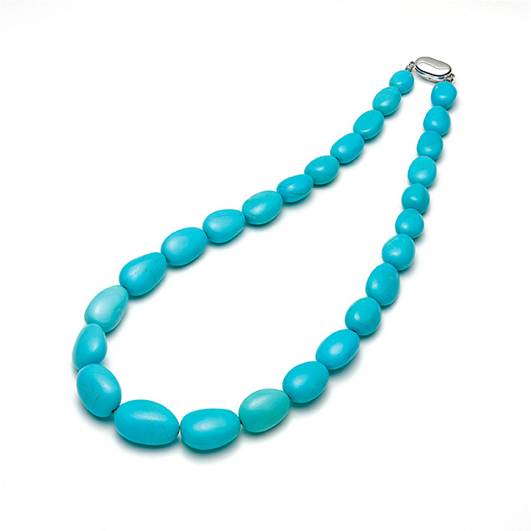 �q�Ŋ㍁�r�g���R�΃l�b�N���X