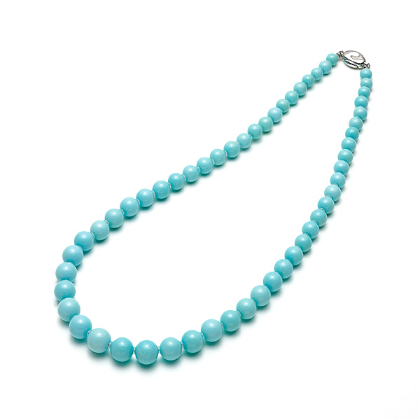 �q�Ŋ㍁�r�g���R�΃l�b�N���X