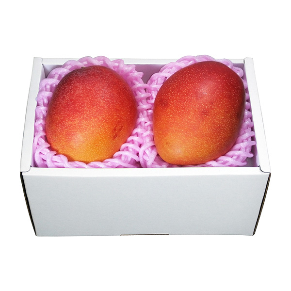 �� ��̓� �q��a�ʉ��r�{��}���S�[