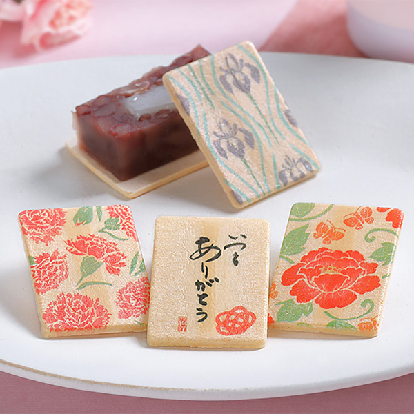 ��̓� �q�� ������r�����̗����i�ԁj