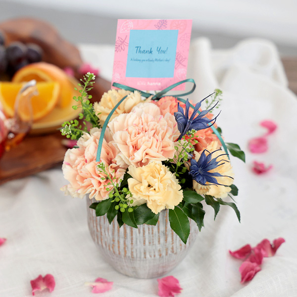 ����̓��qhanna/�n���i�r���ԃA�����W�u�A�v���R�b�g�n�j�[S�v�n���h�N���[���Z�b�g