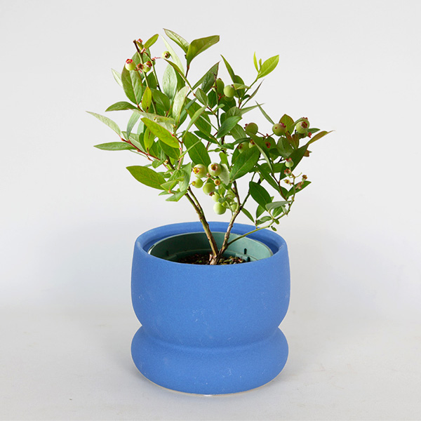 ����̓��qhanna/�n���i�r�����@�u���[�x���[