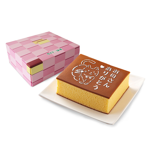 ��̓� �q�J�X�e���⑕�r��̓��G�����J�X�e��