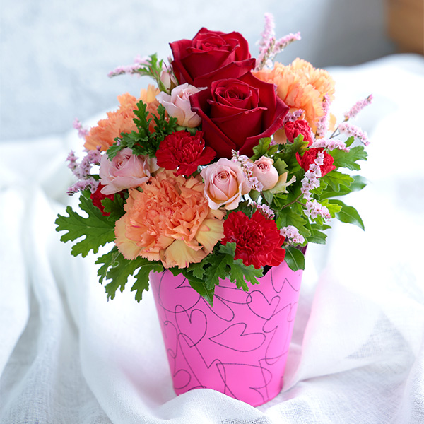 ����̓� �y5��10��(��)������z�qhanna/�n���i�r���ԃA�����W�u�N���G�v