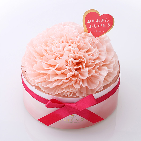 ��̓� �y5��10��(��)������z�q�A���e�m�[���r�J�[�l�[�V�����@12cm