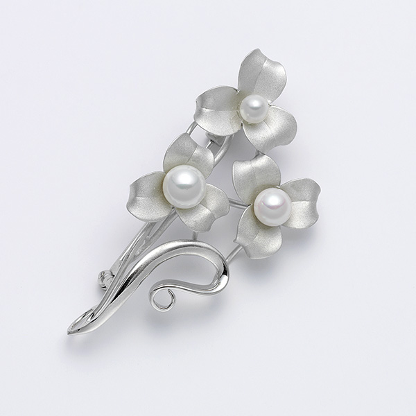 �q�Ŋ㍁�rSV�A�R���p�[���u���[�`