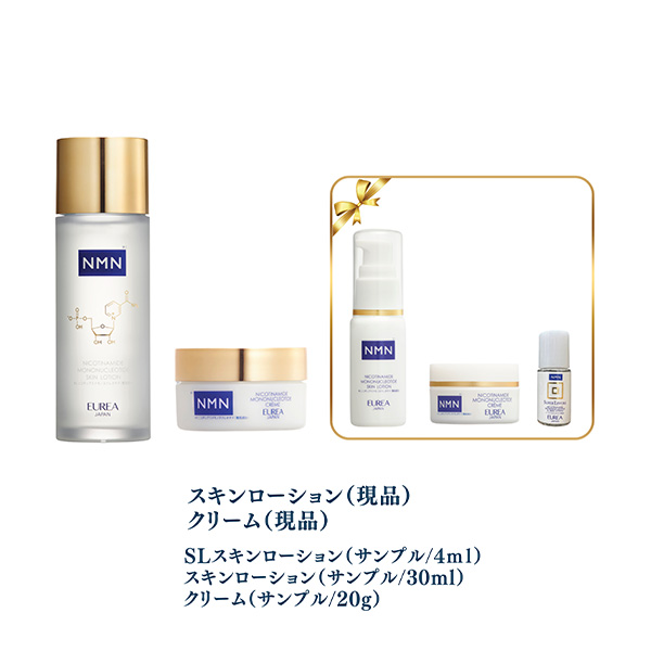 �qEUREA�r�X�L���P�A�Z�b�g