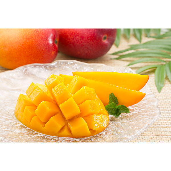 ���q�V���̉�-���܂Ђ̂��̂�-�r���Y���n�}���S�[*
